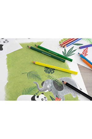 Colori Kalın Üçgen Kuruboya 72li Set