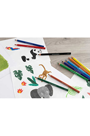 Colori Kalın Üçgen Kuruboya 72li Set
