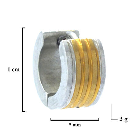 BZ Altın Kaplama Çift Renk Halka Küpe UNK-700