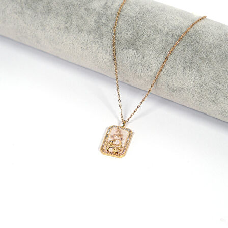 Çelik Kolye Balık Burcu Kolyesi - K-111