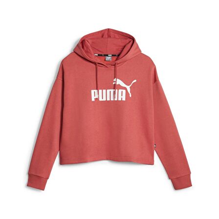 Puma Kadın Hoodie Essentials Cropped Logo FL
