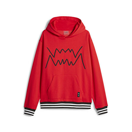 Puma Erkek Hoodie Franchise Core