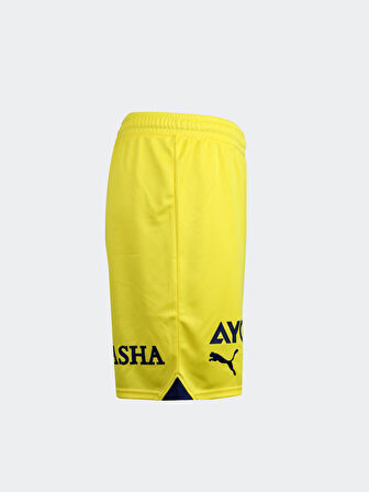 Puma Sarı Erkek Şort 77202004 FSK Shorts Replica Blazing