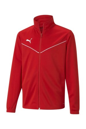 Puma Team Rise Fermuarlı Erkek Sweat 65909801