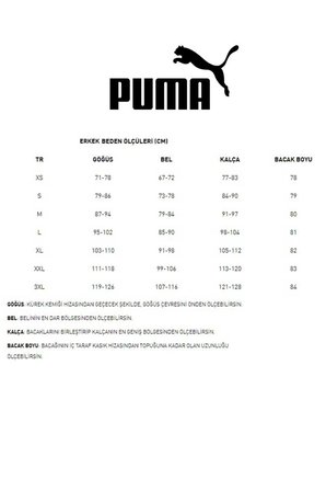 Puma Team Rise Fermuarlı Erkek Sweat 65909801