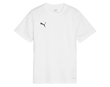 Puma Teamgoal Jersey Erkek Futbol Antrenman Tişörtü 65863604 Siyah