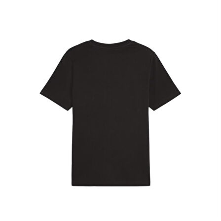 Puma Team Graphic Erkek T-Shirt 624334-01 Siyah