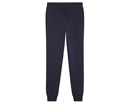 Puma Teamgoal Casuals Pants Erkek Antrenman Eşofman Altı 65859806 Lacivert