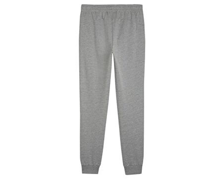 Puma Teamgoal Casuals Pants Erkek Antrenman Eşofman Altı 65859833 Gri