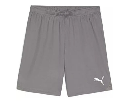 Puma Teamgoal Shorts Erkek Futbol Antrenman Şortu 70575213 Gri