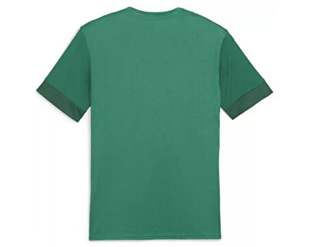 Puma Teamgoal Matchday Jersey Erkek Futbol Antrenman Tişörtü 70574705 Renkli