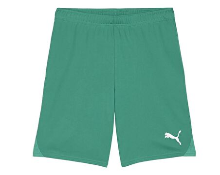 Puma Teamgoal Shorts Erkek Futbol Antrenman Şortu 70575205 Yeşil