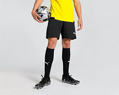 Puma Teamgoal Training Short Erkek Futbol Antrenman Şortu 65864303 Siyah