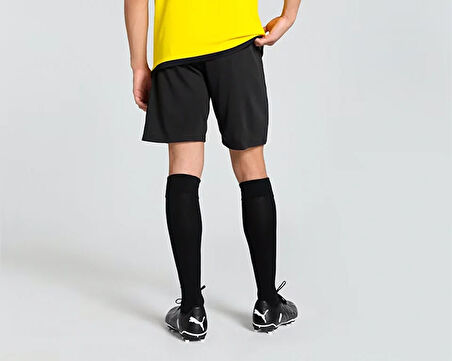 Puma Teamgoal Training Short Erkek Futbol Antrenman Şortu 65864303 Siyah