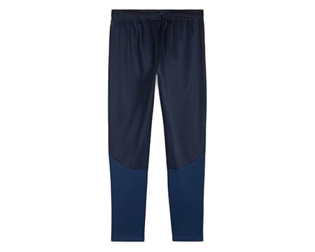 Puma Teamgoal Training Pant Erkek Futbol Antrenman Eşofman Altı 65863906 Lacivert