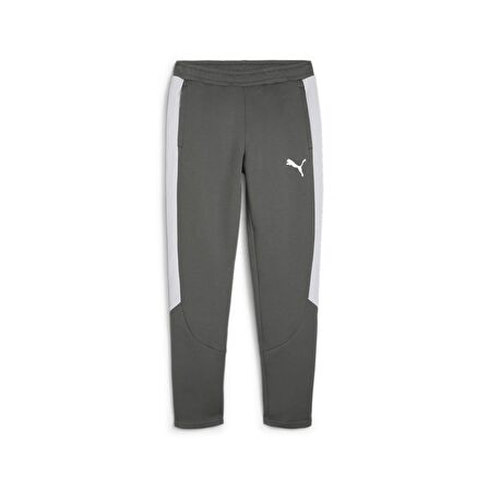 Evostripe Pants Dk Erkek Eşofman Altı