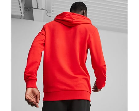 Puma Teamgoal Casuals Hoody Erkek Futbol Sweatshirts 65861801 Kırmızı