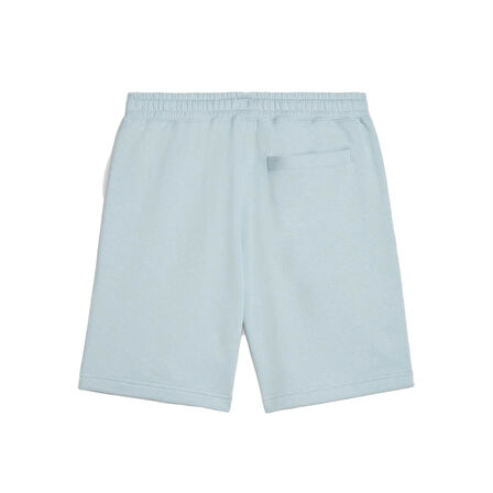 Puma X Ptc Shorts Erkek Şort 624729-22 Turkuaz