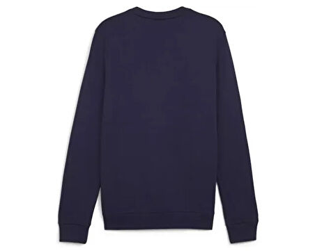 Puma Teamgoal Casuals Crew Neck S Erkek Futbol Sweatshirts 65859206 Lacivert