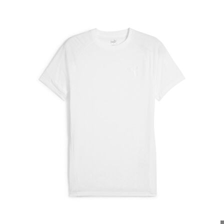 Puma Erkek Tişört Evostripe