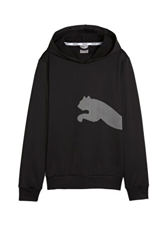 Siyah Kadın Kapüşon Yaka Normal Kalıp Sweatshirt 52507301 BIG CAT FRENCH TERRY HOODI