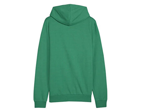 Puma Teamgoal Casuals Hoody Erkek Futbol Antrenman Sweatshirts 65861805 Yeşil