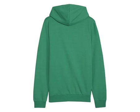 Puma Teamgoal Casuals Hoody Erkek Futbol Antrenman Sweatshirts 65861805 Yeşil