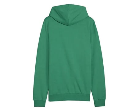 Puma Teamgoal Casuals Hoody Erkek Futbol Antrenman Sweatshirts 65861805 Yeşil