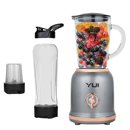 Yui M-18 3'ü 1 Arada Retro Gri 300 W Smoothie Blender Set