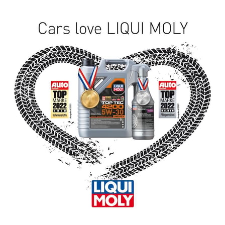 Liqui Moly Lamelli Kavrama Yağı 1 lt 21419