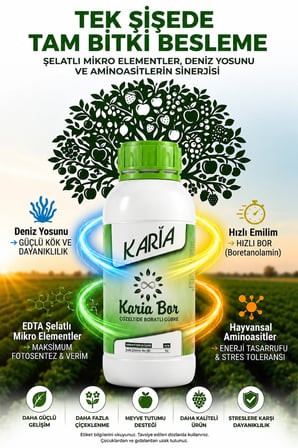 Karia Bor Çözeltide Boratlı Gübre 1 Lt