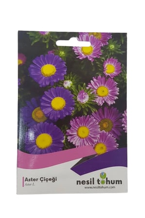 Aster Çiçeği Tohumu 50'Li