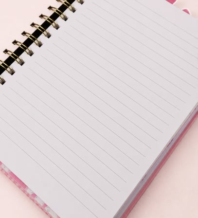 Pembe Fiyonk Temalı 4 Bölmeli Çizgili Defter & 10 Renkli Tükenmez Kalem Kırtasiye Seti