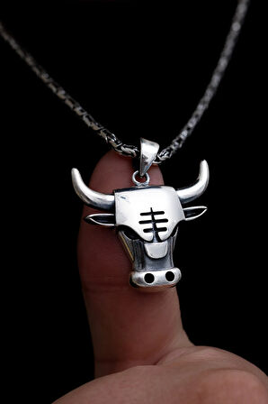 Erkek Gümüş Kolye - Kral Model Chicago Bulls Gümüş Kolye