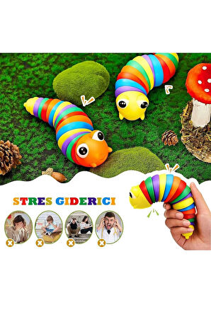 Sevimli Eğitici Stres Giderici Tırtıl Montessori Sök Tak