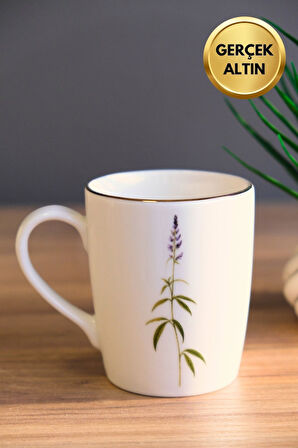 Tabak Evi Porselen Natura Salkım Kulplu Mug Kupa 9cm 220ml 4 lü