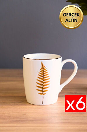 Tabak Evi Porselen Natura Fern Kulplu Mug Kupa 9cm 220ml 6 lı