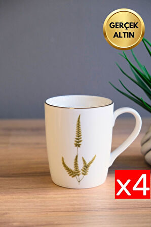 Tabak Evi Porselen Natura Marinum Kulplu Mug Kupa 9cm 220ml 4 lü