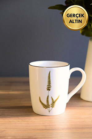 Tabak Evi Porselen Natura Marinum Kulplu Mug Kupa 9cm 220ml 4 lü