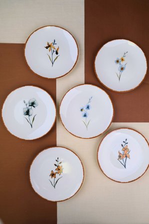 Tabak Evi Porselen Azelya Karma Pasta Tabağı Seti 19,50cm 6 Kişilik 6 Parça