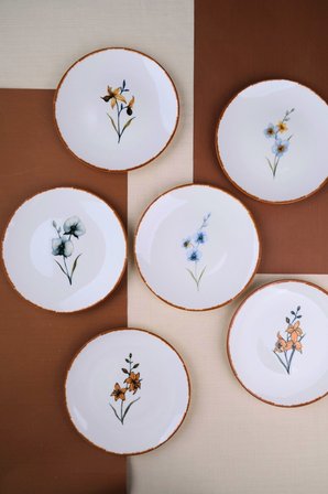 Tabak Evi Porselen Azelya Karma Pasta Tabağı Seti 19,50cm 6 Kişilik 6 Parça