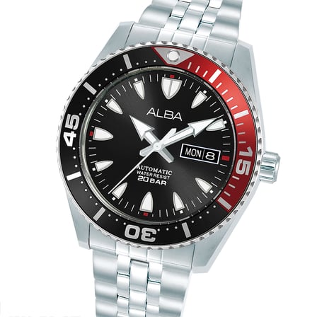 Alba AL4763X1 Erkek Kol Saati 
