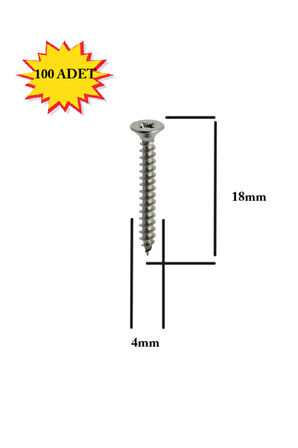 Sunta Vidası 4x18Mm Ahşap Vida Raf Vidası Ahşap Tahta Mobilya Vidası Kısa Vida 100 Adet