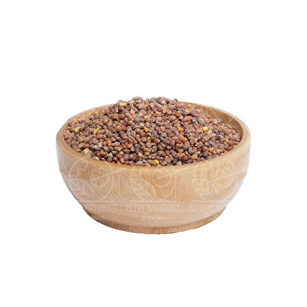 Marul Tohumu 100 Gr