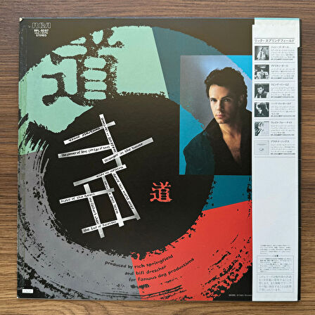 Rick Springfield – Tao 33'lük LP PLAK