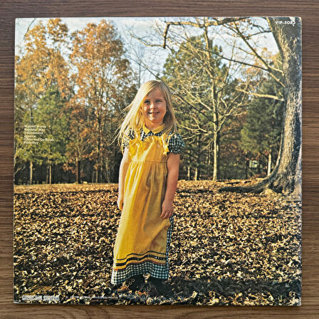 The Allman Brothers Band – Brothers And Sisters 33'lük LP PLAK