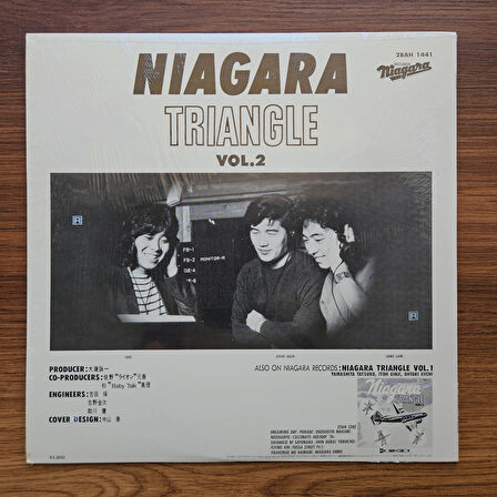 Niagara Triangle – Niagara Triangle Vol.2 33'lük LP PLAK