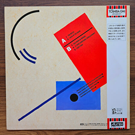 Duran Duran – Tiger! Tiger! 33'lük LP PLAK