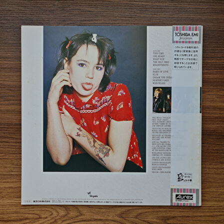 UFO – Misdemeanor 33'lük LP PLAK