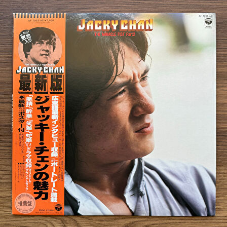 The Miracle Fist Part 2 33'lük LP PLAK